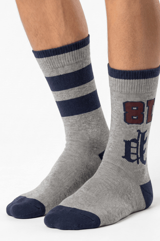 Polo Gray and Navy Striped Socks - POL-KT2K