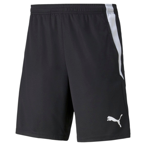 Puma Liga Training Piping Shorts multi