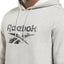 Reebok Camo Logo Graphic Hoodie