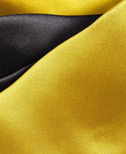 Tayion Collection Black & Gold Solid Tie thumbnail 2