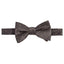 Tayion Collection Brown Dot Bow Tie