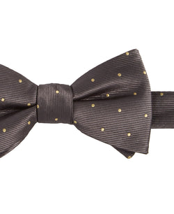 Tayion Collection Brown Dot Bow Tie thumbnail 2