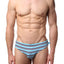 Timoteo Navy & Blue Stripe Lakeshore Swim Brief