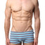 Timoteo Navy & Blue Stripe Open Water Swim Trunk