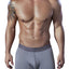 XTREMEN Grey Microfiber Jacquard Athletic Boxer Brief