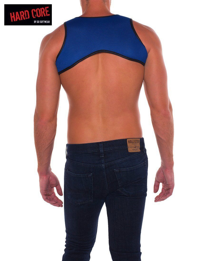 hard Core Royal and Black Armor Harness