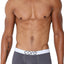 CORE Grey Modern Basic Trunk