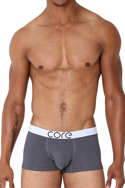 CORE Grey Modern Basic Trunk