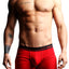 Ken Wroy Red Poppy Boxer Trunk