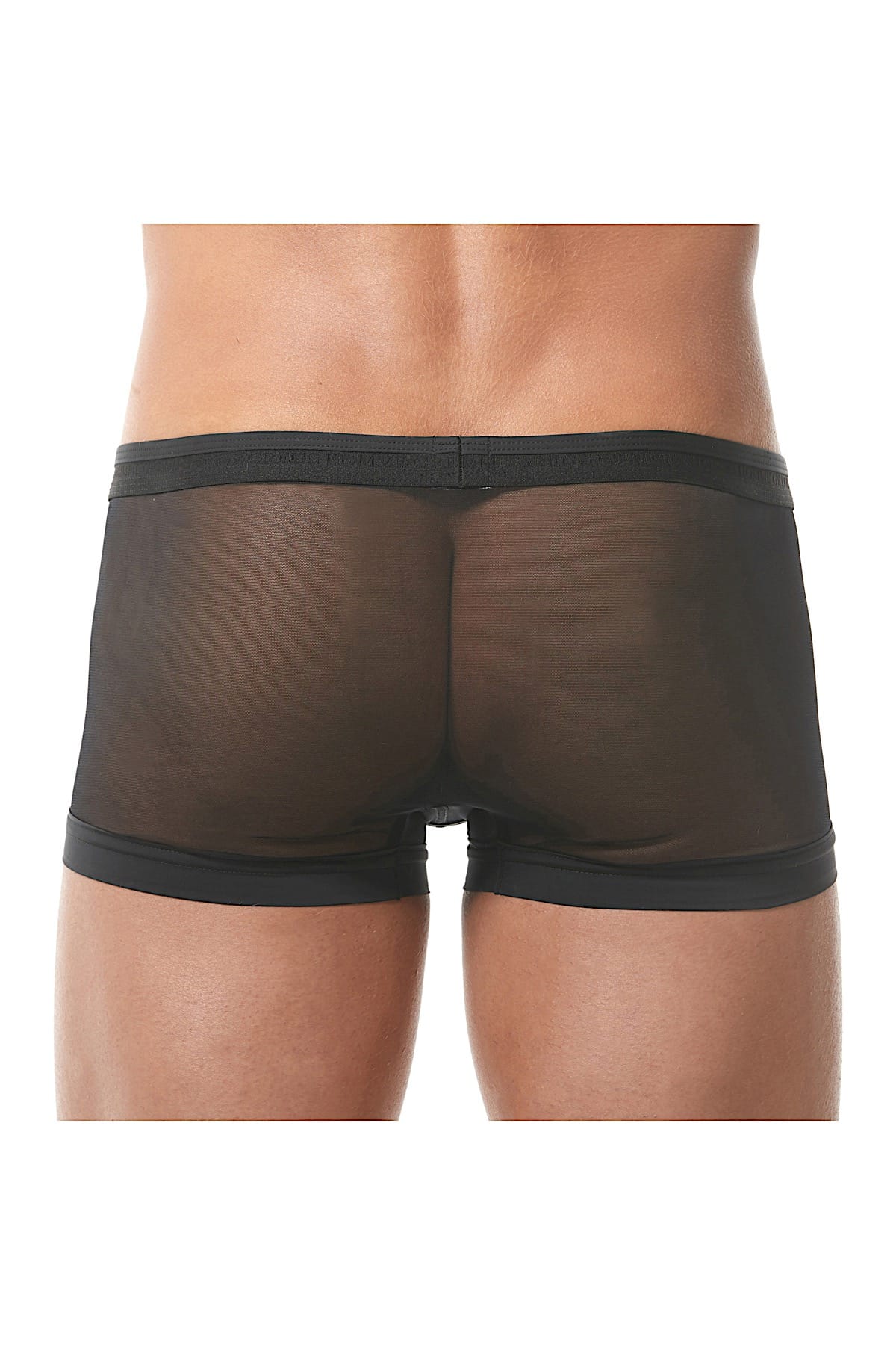 Gregg Homme Black Lust Mesh Velvet Trunk