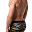 Discover Multi-Colored Zebra Trunk