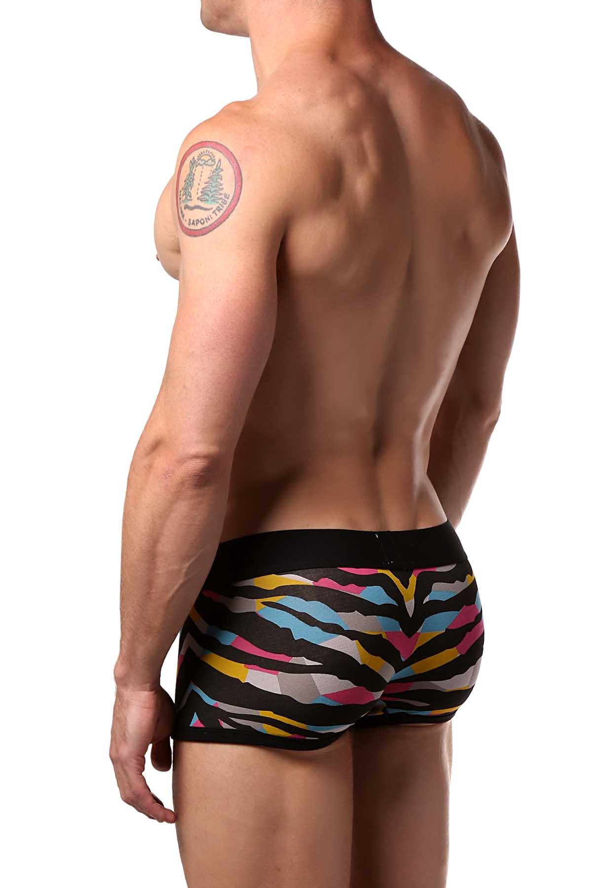 Discover Multi-Colored Zebra Trunk