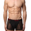 No Limits Black Mesh Boxer Brief