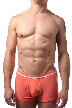 2(X)IST Camelia Cotton Stretch No Show Trunk thumbnail 1