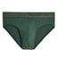 2(X)IST Duck-Green Electric No-Show Brief