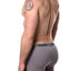 2(X)IST Earl-Grey Essential Cotton-Stretch Boxer Brief