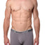 2(X)IST Earl-Grey Essential Cotton-Stretch Boxer Brief
