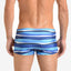 2(X)IST Estate Blue Awning Stripe Swim Trunk