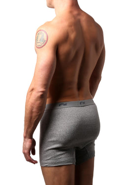 2(X)IST Grey Essential Cotton Boxer Brief thumbnail 2