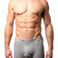 2(X)IST Grey Essential Cotton Boxer Brief