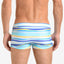 2(X)IST Ice Blue Awning Stripe Swim Trunk