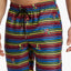 2(X)IST Pride Catalina Swim Short