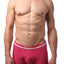 2(X)IST Rasberry Wine Cotton Stretch No Show Trunk