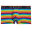 2(X)IST Retro Geo Pride Cotton Stretch No-Show Trunk