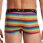 2(X)IST Retro Geo Pride Cotton Stretch No-Show Trunk
