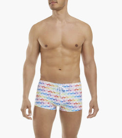 2(X)ist Cabo Pride Flamingo Swim Trunk thumbnail 1