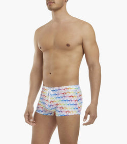 2(X)ist Cabo Pride Flamingo Swim Trunk thumbnail 2