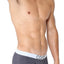 CORE Grey Modern Basic Trunk