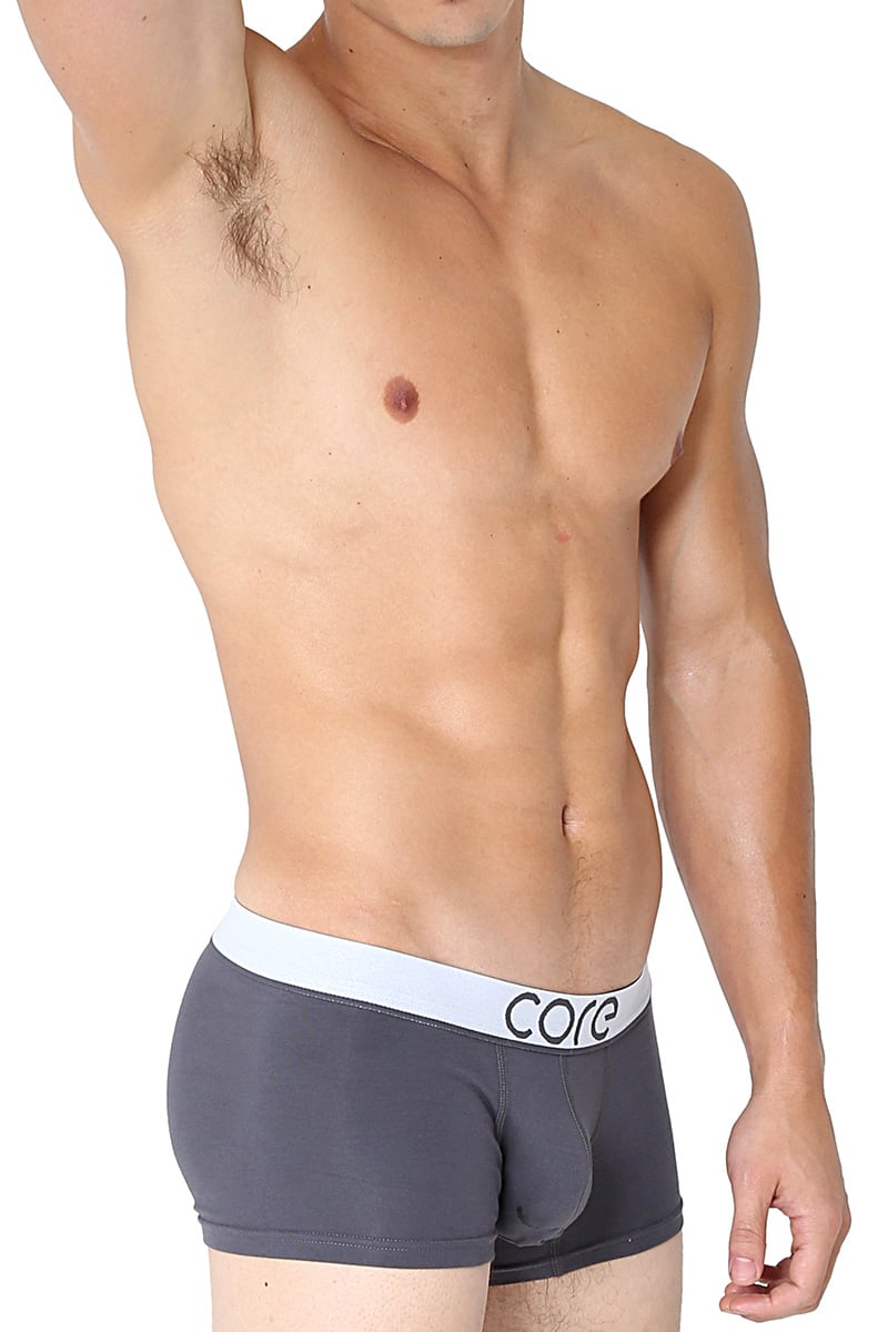 CORE Grey Modern Basic Trunk