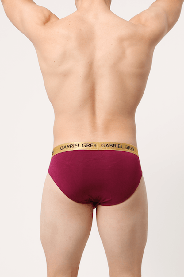 Gabriel Grey Cranberry Skin Brief