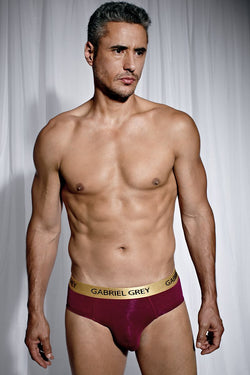 Gabriel Grey Cranberry Skin Brief thumbnail 1