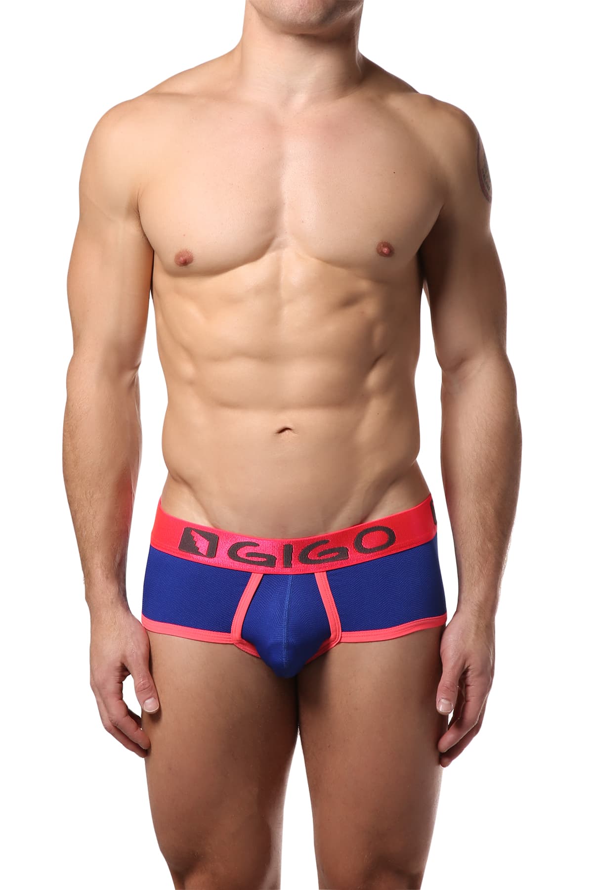 Gigo Blue Simple Brief