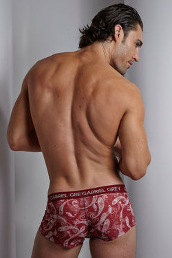 Gabriel Grey Red Paisley Boxer Brief thumbnail 2