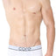 CORE White Modern Basic Trunk
