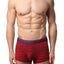 2(X)IST Red Graphic Modal Formula One No-Show Trunk