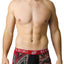 Red & Black Bamboo Trunk