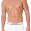 CORE White Modern Basic Trunk