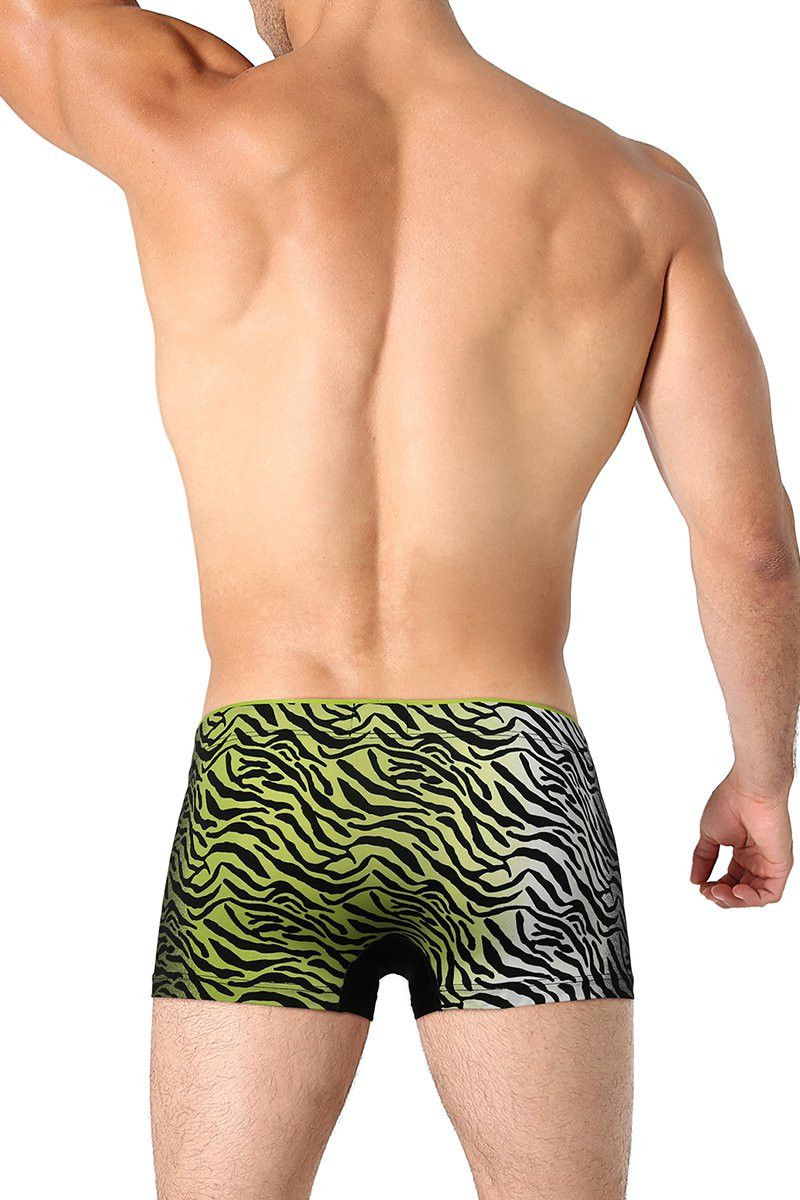 2(X)IST Black Zebra Print No-Show Trunk