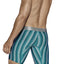 Hawai Green Wave Striped Boxer