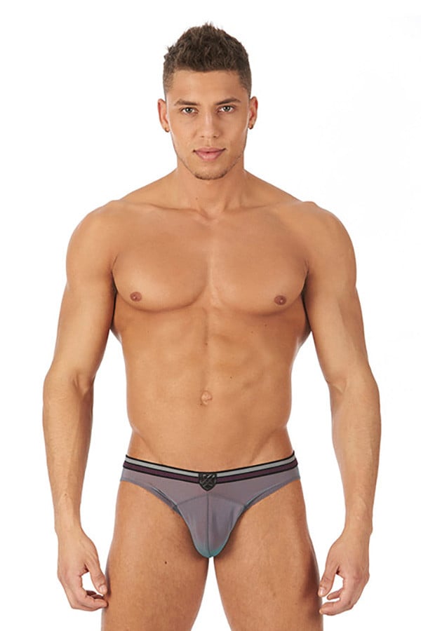 Gregg Homme Purple Full Moon Brief
