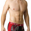 Red & Black Bamboo Trunk