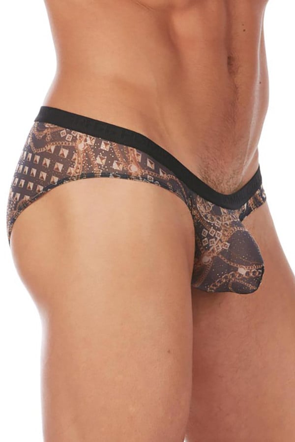 Gregg Homme Treasure Brief