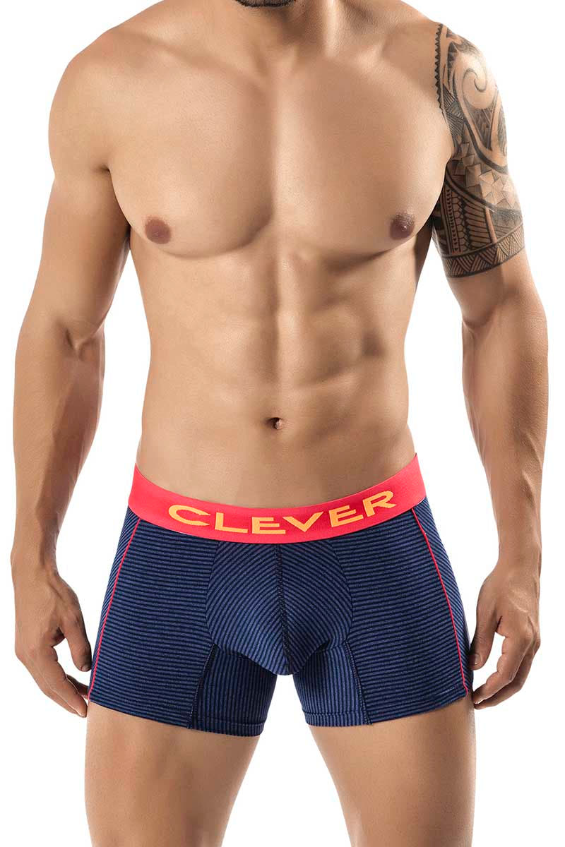 Clever Blue Isernia Latin Boxer
