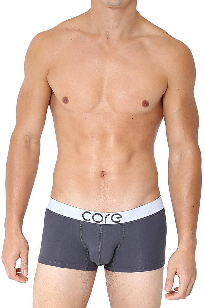 CORE Grey Modern Basic Trunk
