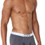 CORE Grey Modern Basic Trunk