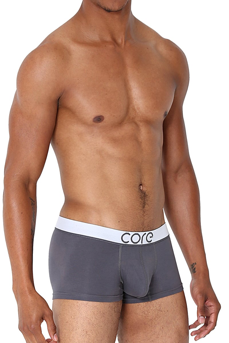 CORE Grey Modern Basic Trunk